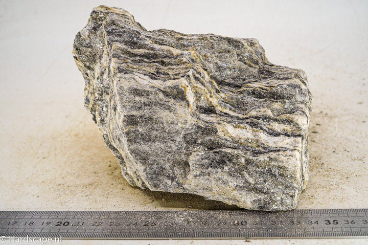 Glimmer Wood Rock XL29 - Hardscape.nl