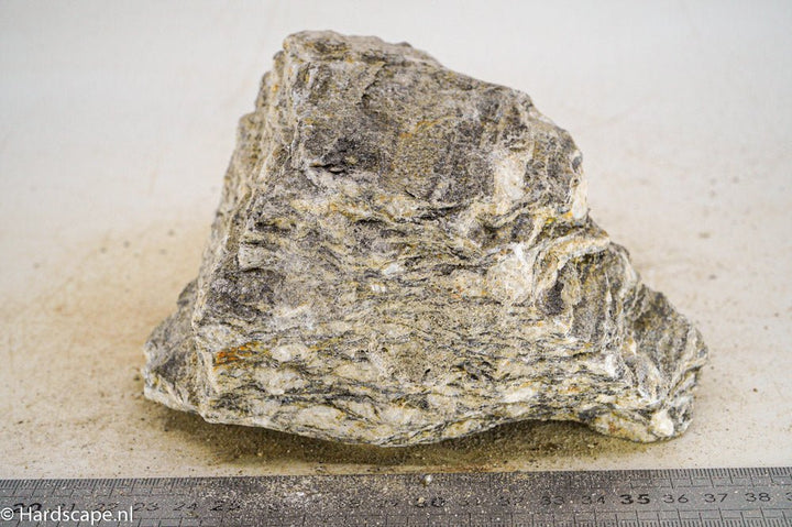Glimmer Wood Rock XL31 - Hardscape.nl