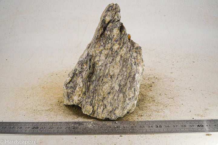 Glimmer Wood Rock XL31 - Hardscape.nl