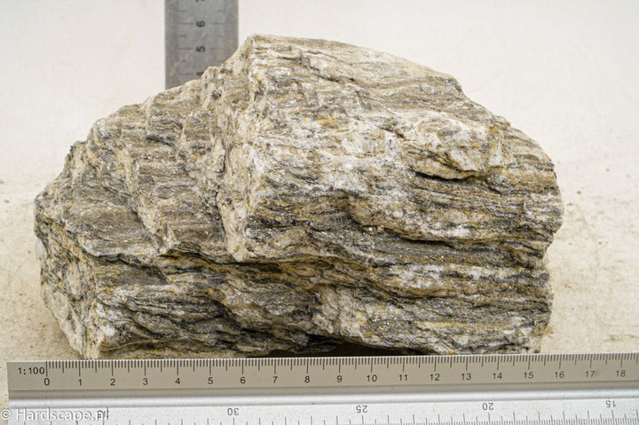 Glimmer Wood Rock XL37 - Hardscape.nl