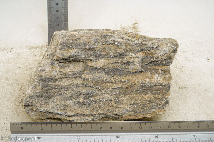 Glimmer Wood Rock XL40 - Hardscape.nl