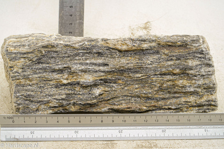 Glimmer Wood Rock XL43 - Hardscape.nl