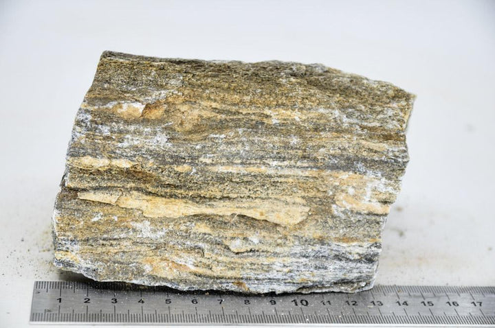 Glimmer Wood Rock XL6 - Hardscape.nl