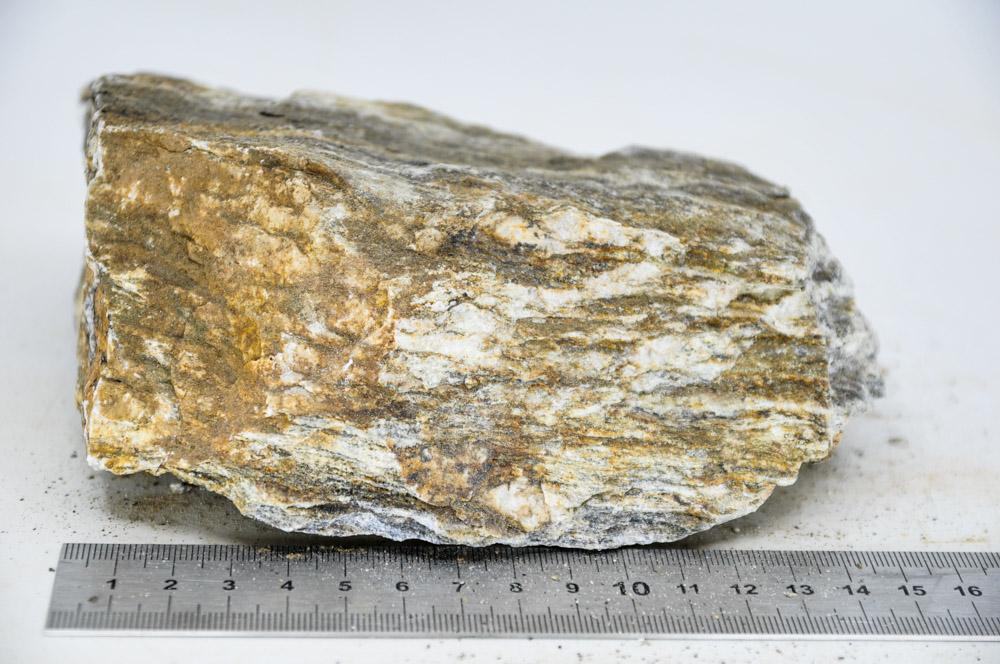 Glimmer Wood Rock XL9 - Hardscape.nl