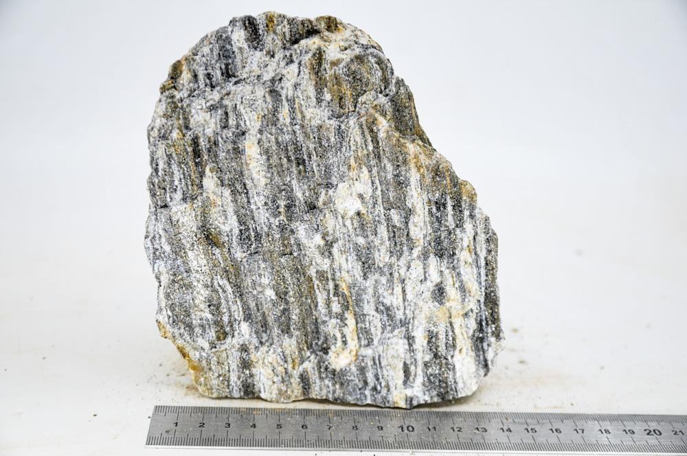 Glimmer Wood Rock XL9 - Hardscape.nl