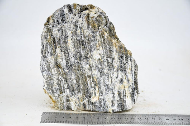 Glimmer Wood Rock XL9 - Hardscape.nl