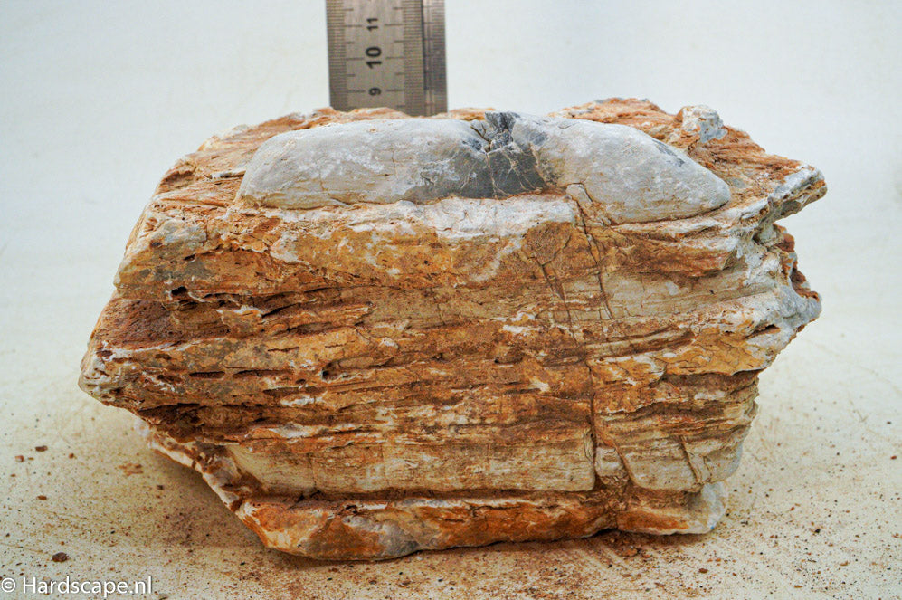 Pagoda Rock XL42 - Hardscape.nl