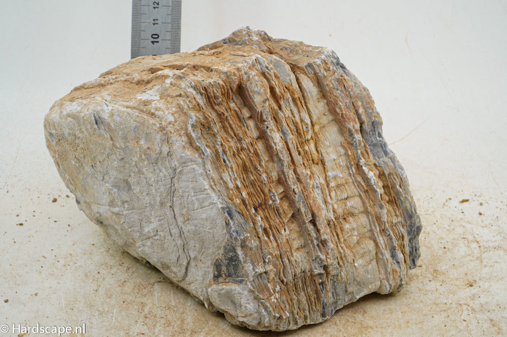 Pagoda Rock XL55 - Hardscape.nl