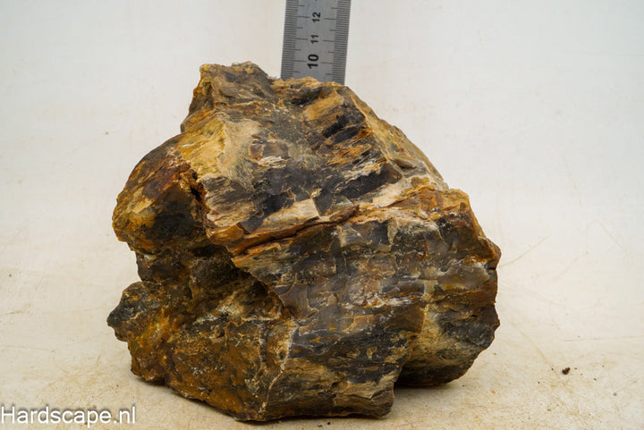 Petrified Wood XL34 - Hardscape.nl