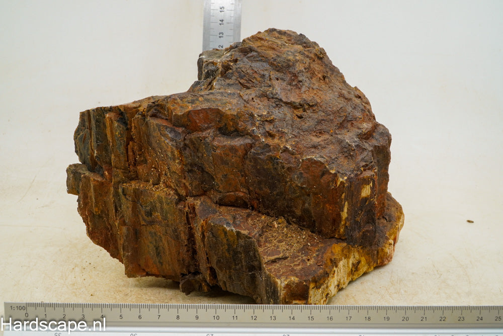 Petrified Wood XL36 - Hardscape.nl