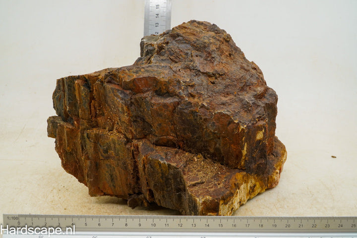Petrified Wood XL36 - Hardscape.nl
