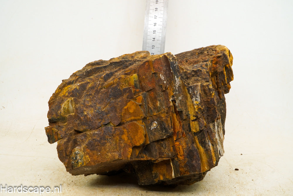Petrified Wood XL36 - Hardscape.nl