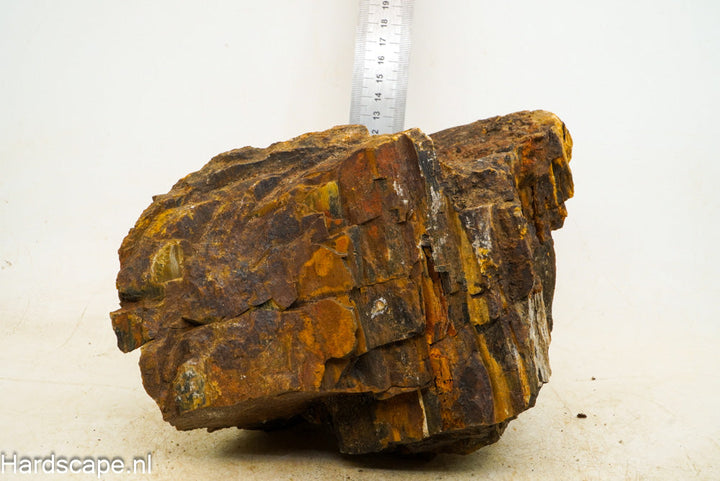 Petrified Wood XL36 - Hardscape.nl