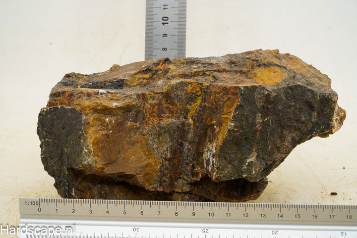 Petrified Wood XL38 - Hardscape.nl