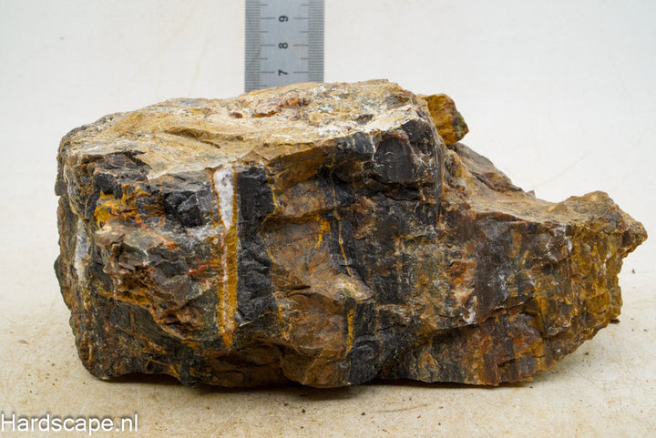 Petrified Wood XL38 - Hardscape.nl