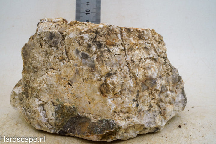 Petrified Wood XL42 - Hardscape.nl
