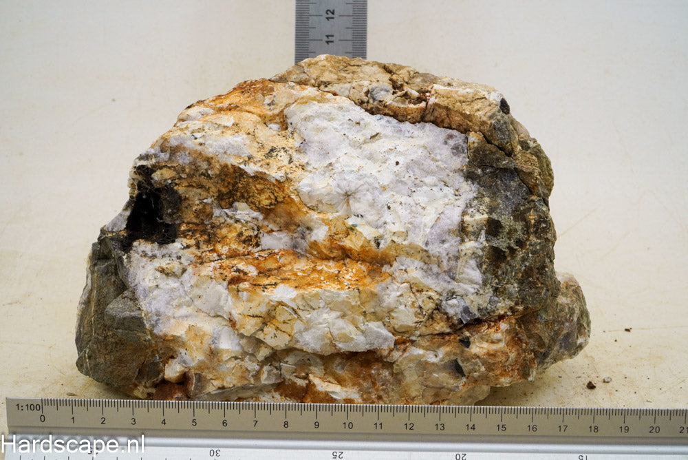 Petrified Wood XL42 - Hardscape.nl