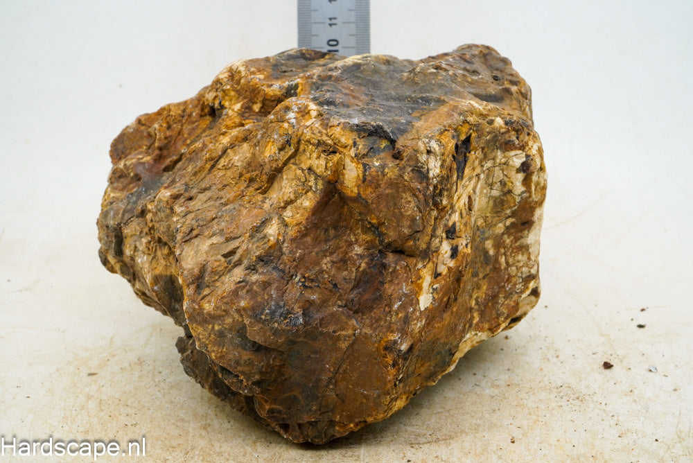Petrified Wood XL46 - Hardscape.nl