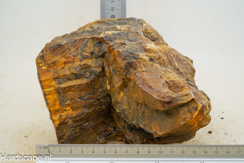 Petrified Wood XL46 - Hardscape.nl
