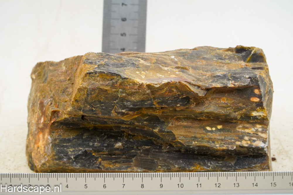 Petrified Wood XL50 - Hardscape.nl