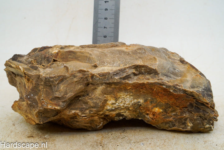 Petrified Wood XL52 - Hardscape.nl