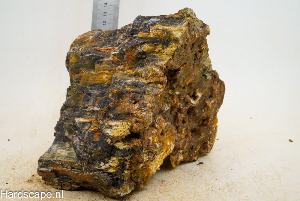 Petrified Wood XL55 - Hardscape.nl