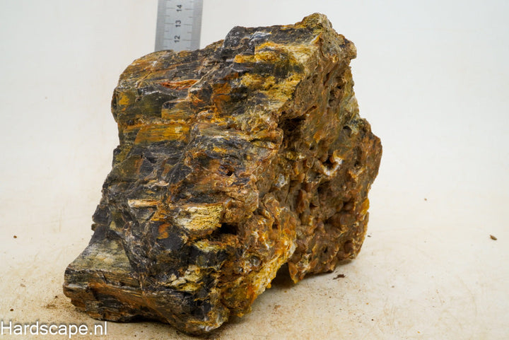 Petrified Wood XL55 - Hardscape.nl
