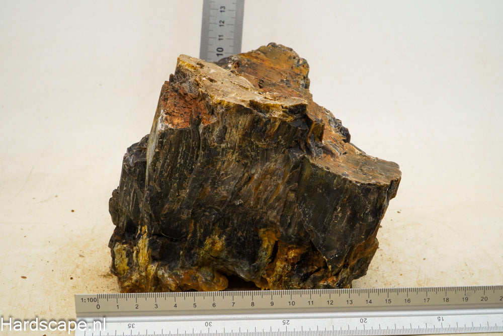 Petrified Wood XL55 - Hardscape.nl