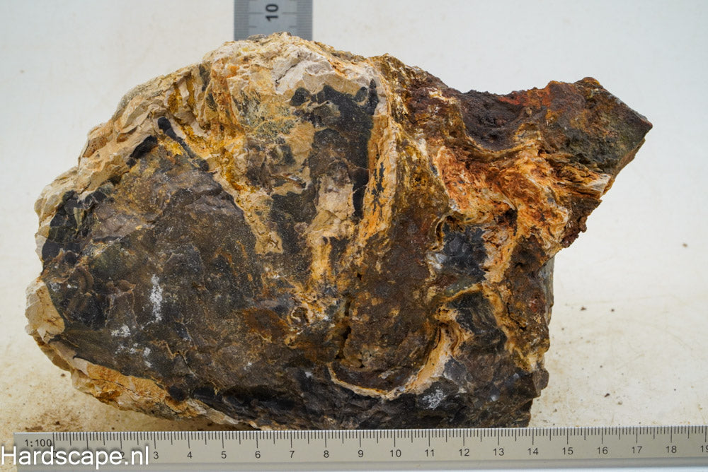 Petrified Wood XL57 - Hardscape.nl