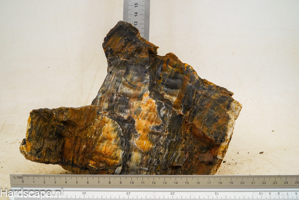Petrified Wood XL58 - Hardscape.nl