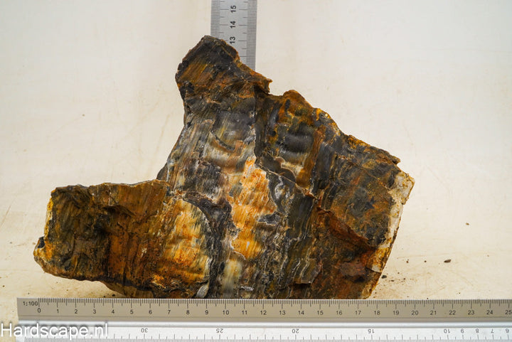 Petrified Wood XL58 - Hardscape.nl