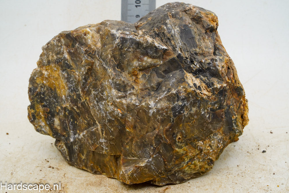 Petrified Wood XL60 - Hardscape.nl