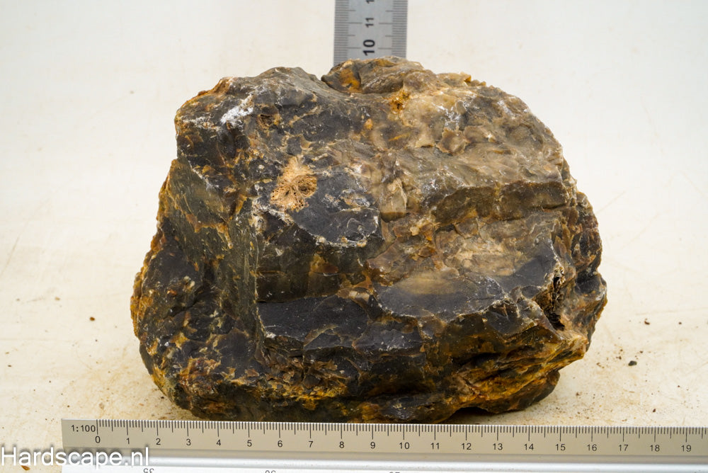 Petrified Wood XL60 - Hardscape.nl
