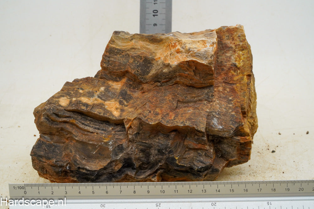 Petrified Wood XL61 - Hardscape.nl