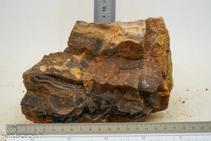 Petrified Wood XL61 - Hardscape.nl