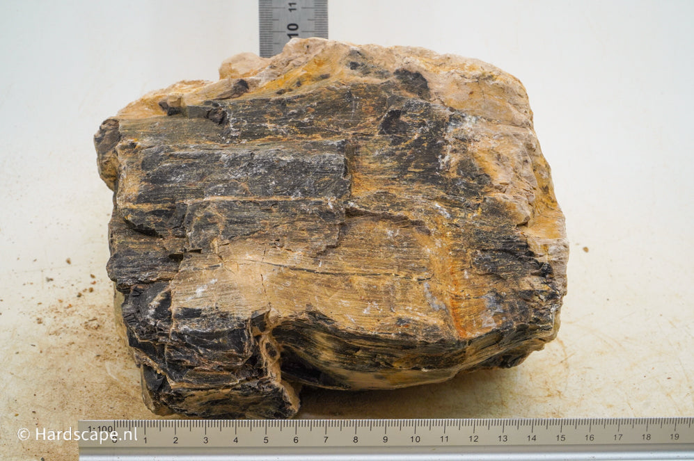 Petrified Wood XL63 - Hardscape.nl