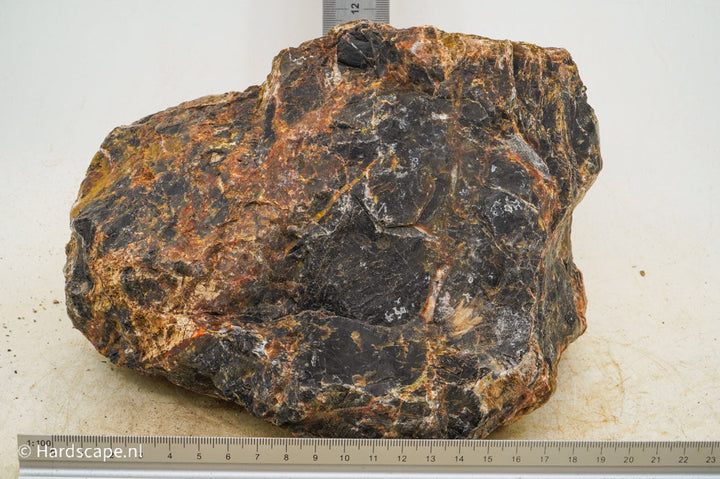 Petrified Wood XL64 - Hardscape.nl