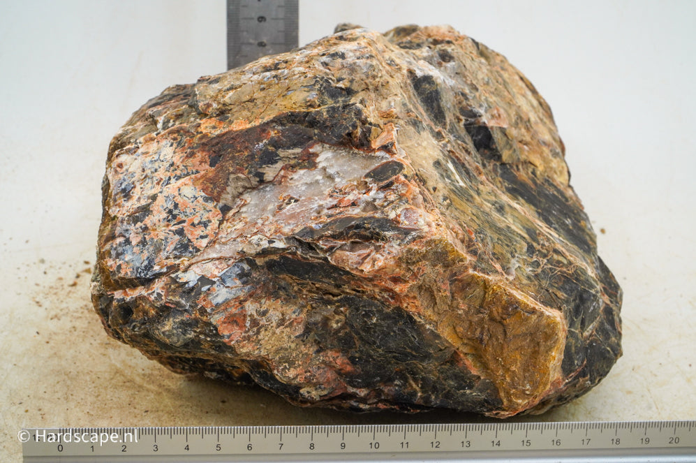 Petrified Wood XL64 - Hardscape.nl