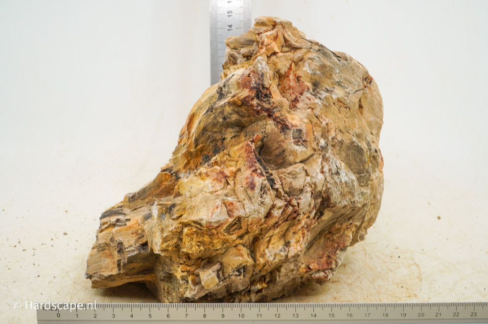 Petrified Wood XL66 - Hardscape.nl