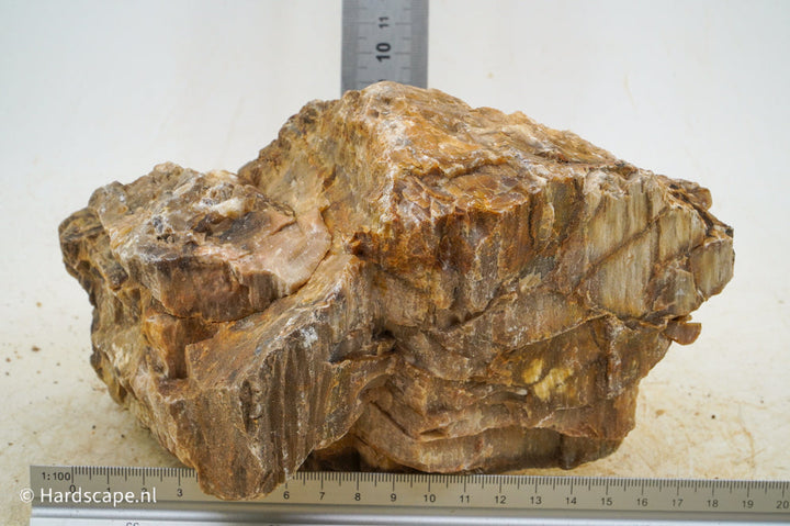Petrified Wood XL68 - Hardscape.nl
