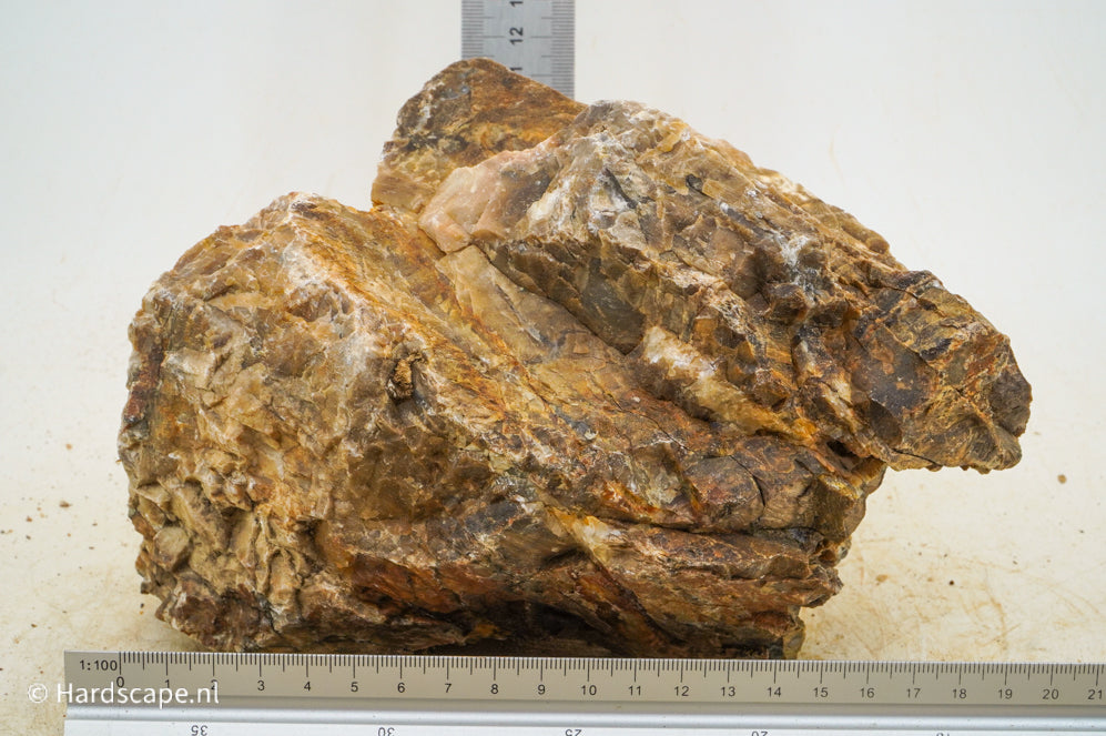 Petrified Wood XL68 - Hardscape.nl