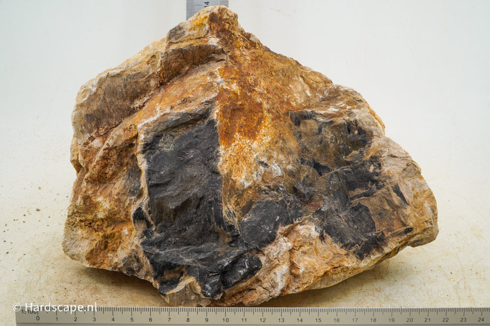 Petrified Wood XL69 - Hardscape.nl