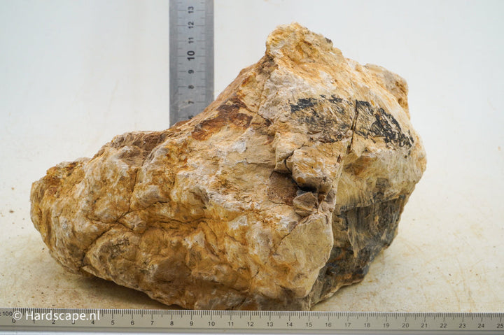 Petrified Wood XL69 - Hardscape.nl