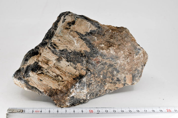 Petrified Wood XL7 - Hardscape.nl