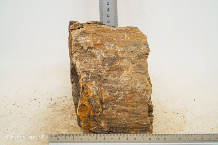 Petrified Wood XL71 - Hardscape.nl
