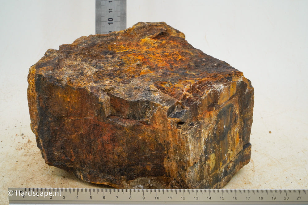 Petrified Wood XL71 - Hardscape.nl