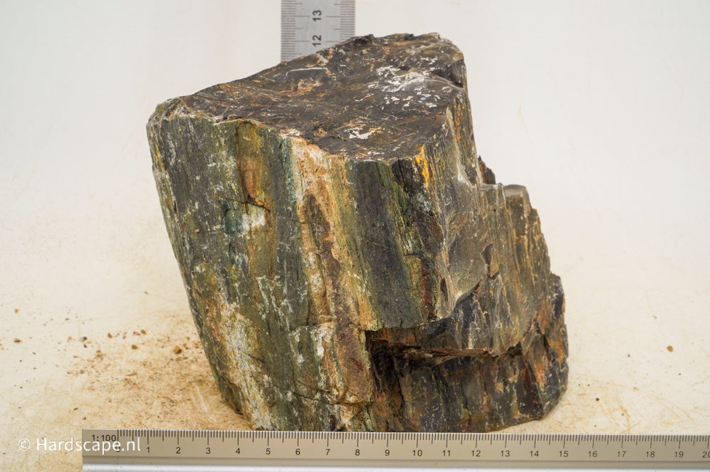 Petrified Wood XL73 - Hardscape.nl