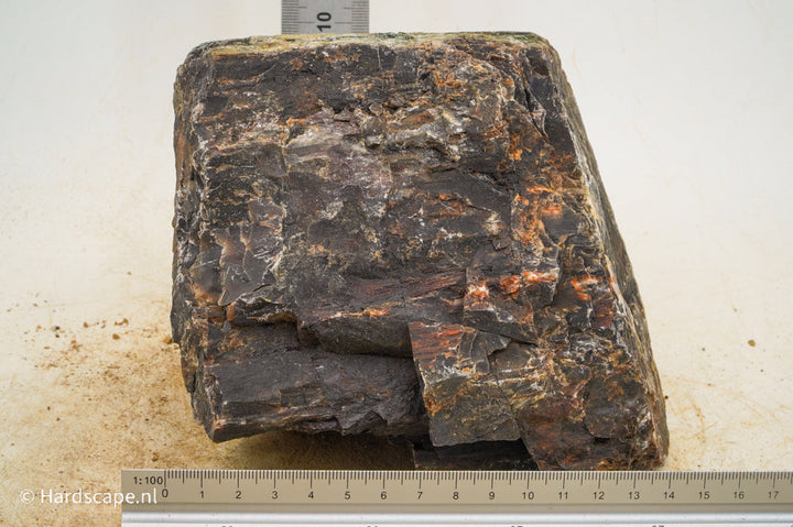 Petrified Wood XL73 - Hardscape.nl