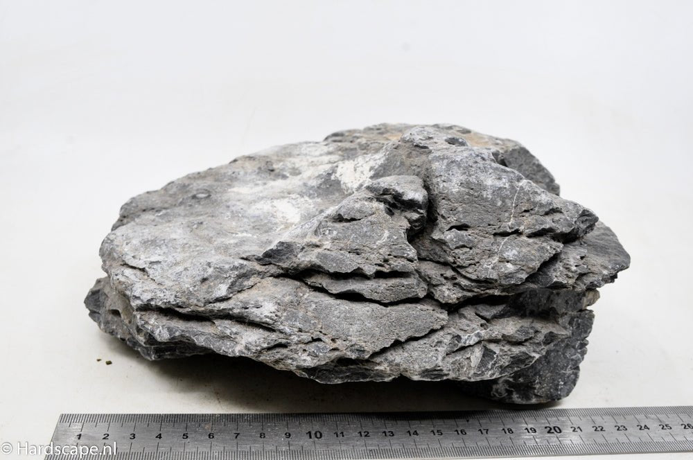 Seiryu Rock XL043 - Hardscape.nl