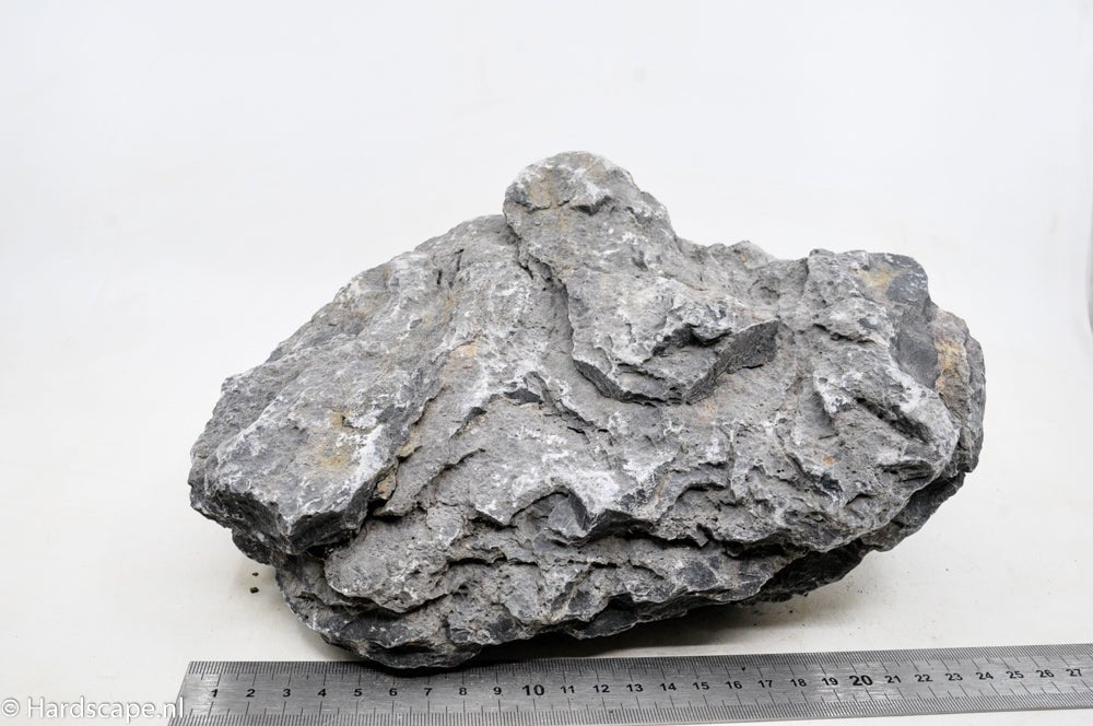 Seiryu Rock XL043 - Hardscape.nl